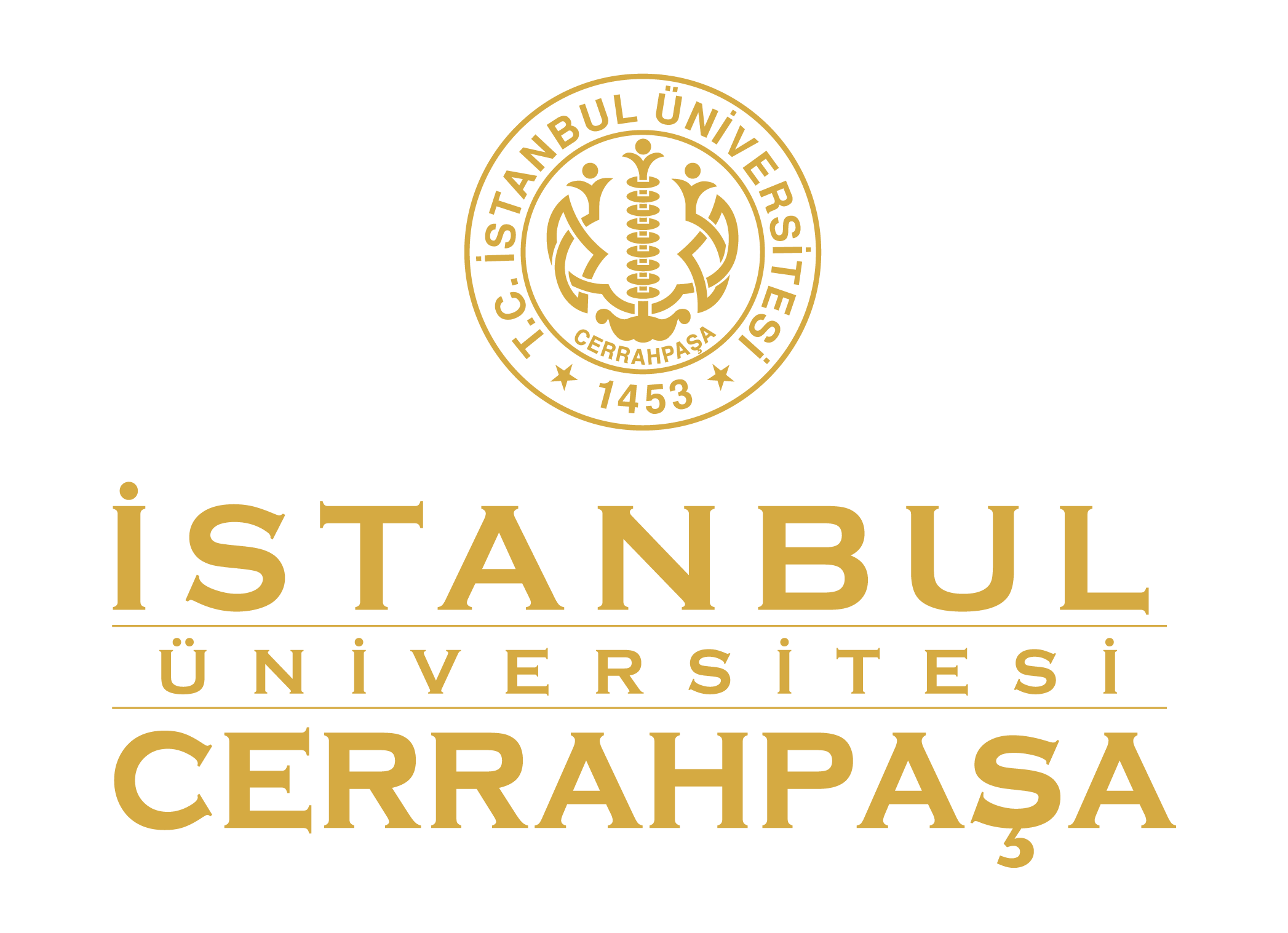 İstanbul University-Cerrahpaşa IT Department
